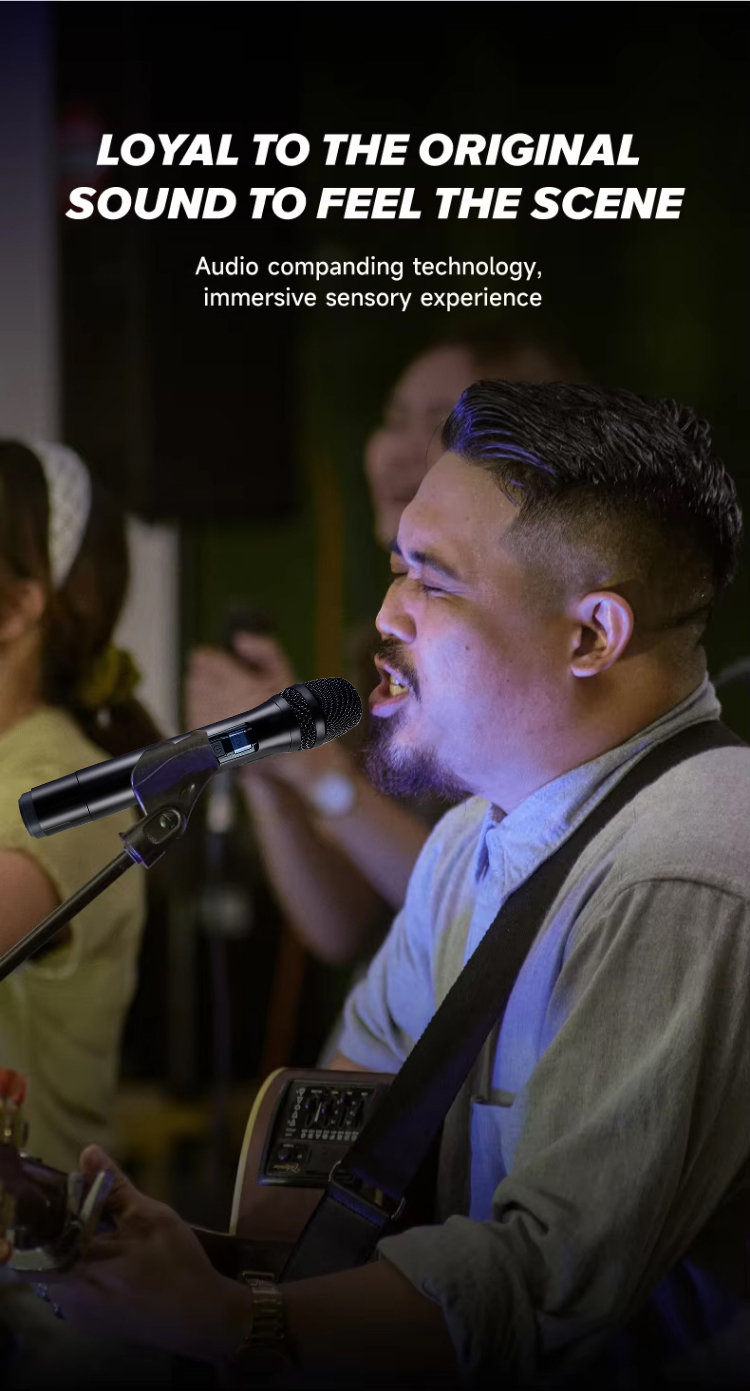 sistema de micr&oacute;fono inal&aacute;mbrico 