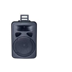 Módulo amplificador de altavoz activo profesional LS22, altavoz de karaoke activo
